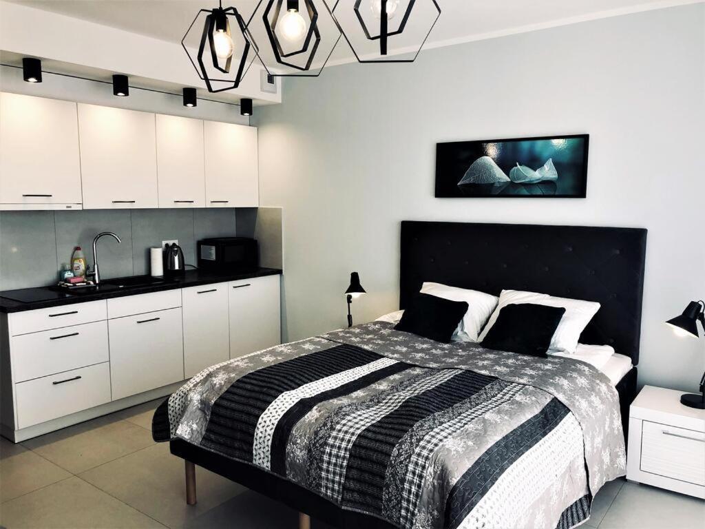 Apartamenty Premium Kasprowicza 20 كولوبرزيغ المظهر الخارجي الصورة